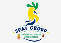 spai group